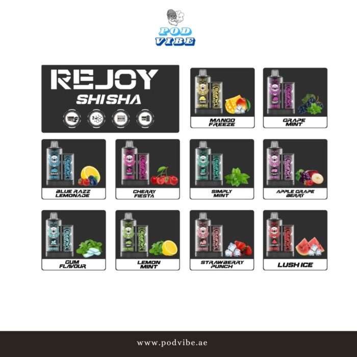 Rejoy Shisha Disposable 14000 Puffs uae dubai