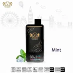 VICIG Charlie 15000 Puffs 20MG Disposable Vape in UAE - Image 6
