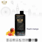 VICIG Charlie 15000 Puffs 20MG Disposable Vape in UAE - Image 4