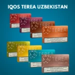 IQOS Terea Uzbekistan