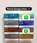 IQOS Terea Kyrgyzstan Tobacco Sticks in Dubai UAE - Image 2