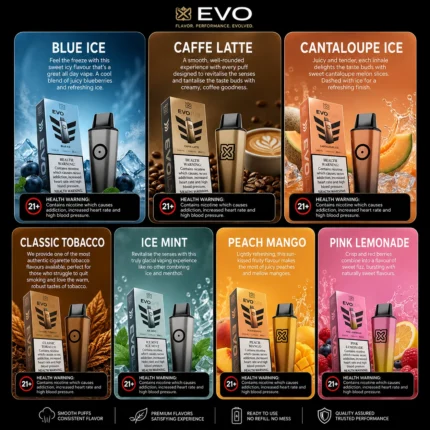 POD SALT EVOLVE 6000 Puffs