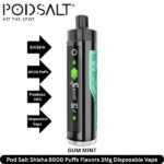 POD SALT Shisha 8000 Puffs Disposable Vape in UAE - Image 4