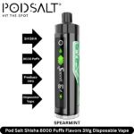 POD SALT Shisha 8000 Puffs Disposable Vape in UAE - Image 7